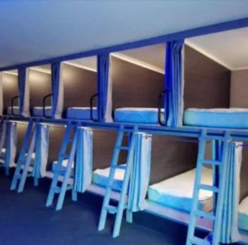 Swansea Backpacker Lodge Zewnętrze zdjęcie